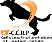 Especialista Certificada en Rehabilitación Canina
