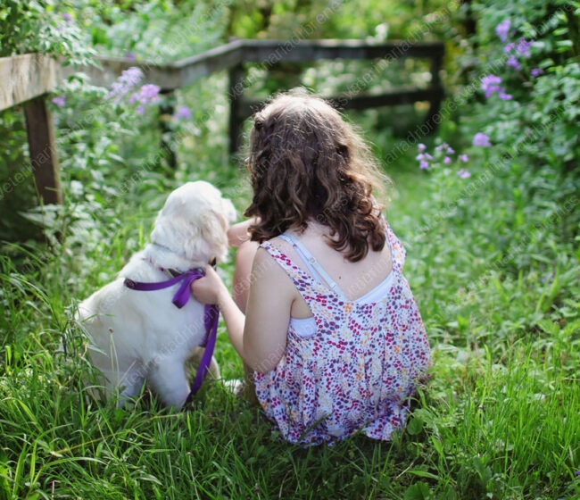 Las mascotas y los niños Las mascotas y los niños