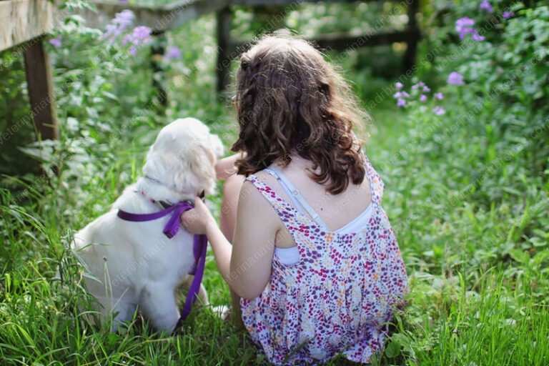 Las mascotas y los niños