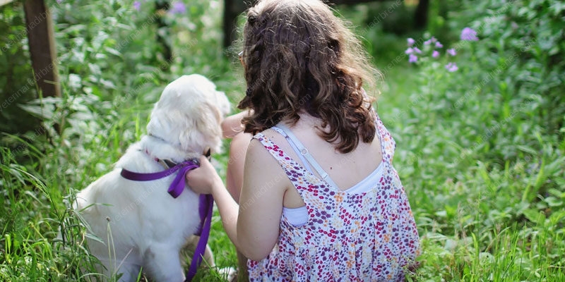 Las mascotas y los niños Las mascotas y los niños