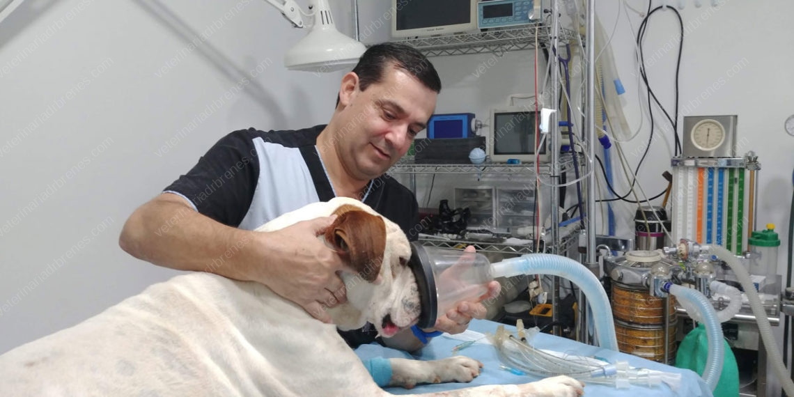 blog-Servicios-de-anestesia-inhalatoria-y-endoscopia