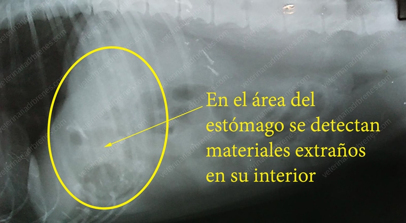 imagen_Ultrasonido