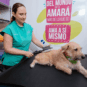 Fisioterapia y Rehabilitación Canina