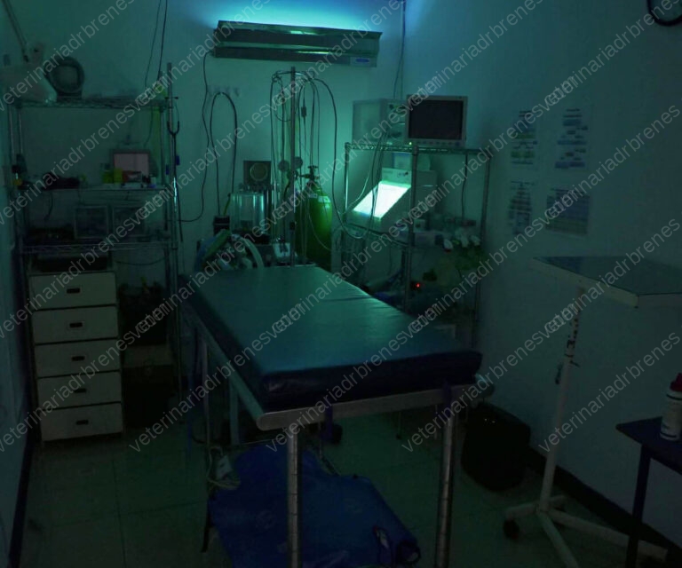 servicios_cirugia