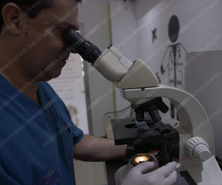 servicios_laboratorio