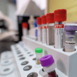 servicios_laboratorio26-1 servicios_laboratorio26-1