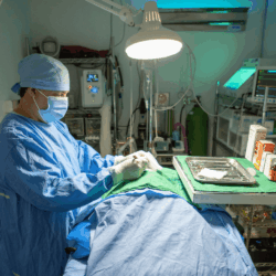 servicios_quirofano26-2 servicios_quirofano26-2