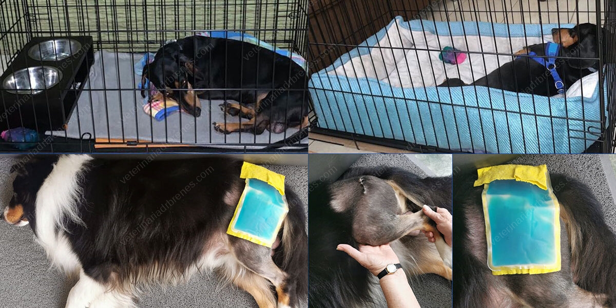 Recuperación tras una cirugía o lesión Recuperación tras una cirugía o lesión