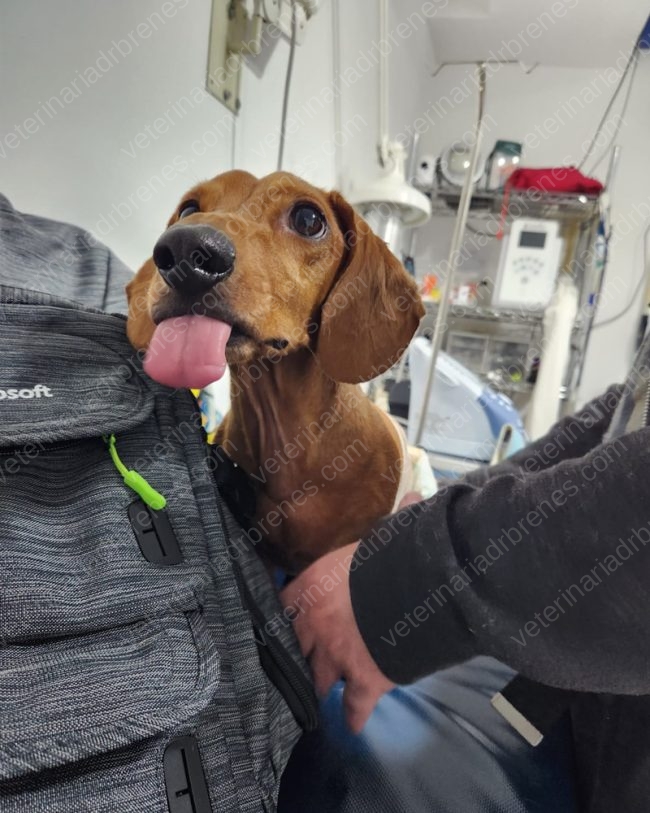 blogTestimonio-de-Ostrava1