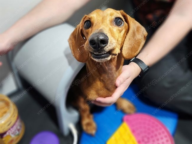 blog-testimonio-ronnygarcia