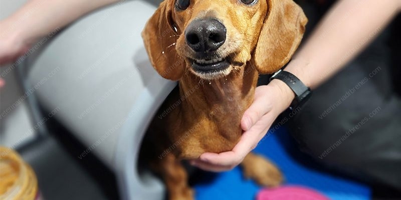 blog-testimonio-ronnygarcia