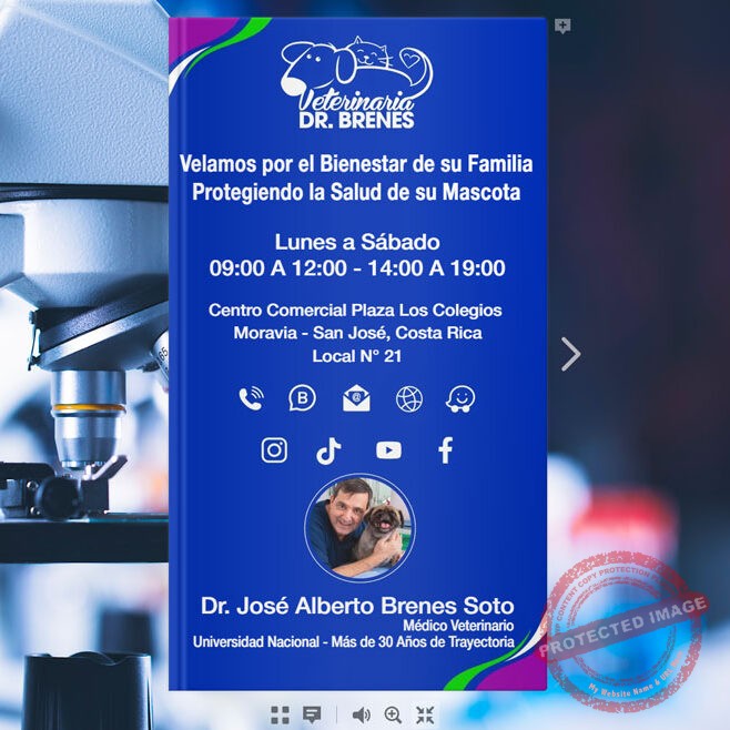 Libro Dr Brenes Libro Dr Brenes