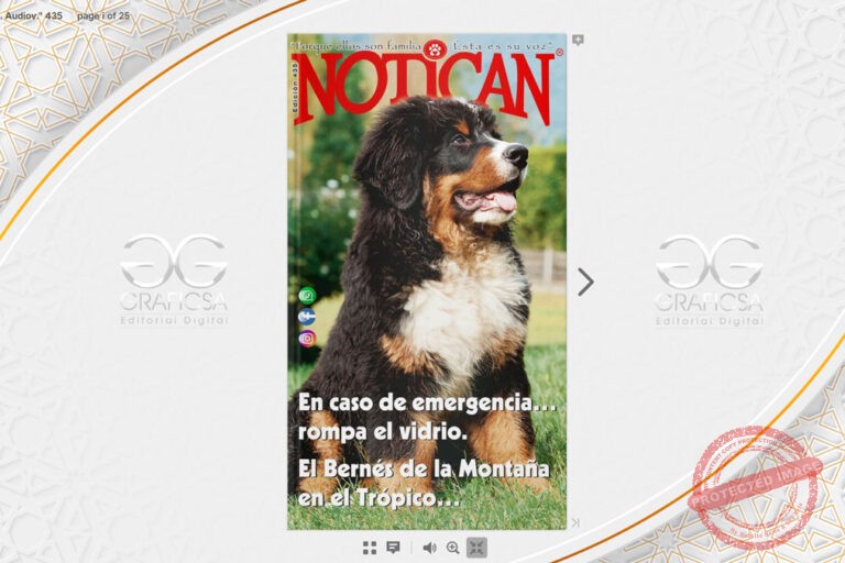 Notican Edición #435