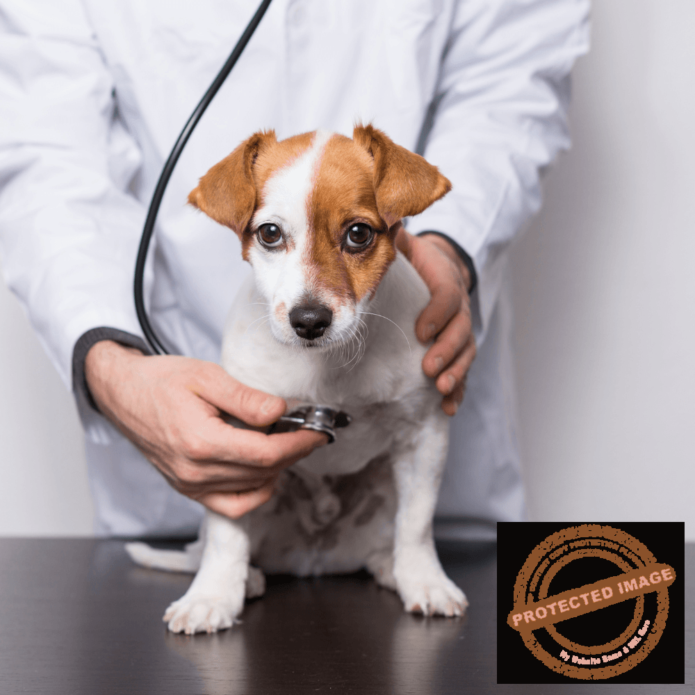 servicio cardiologia